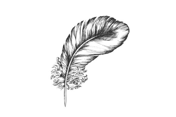 Decorative Bird Flying Element Feather