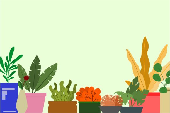 Decorative Plants 2: Elevating Spaces with Intentional Design